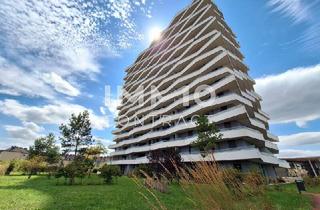 Wohnung mieten in 4020 Linz, Wohnen über den Dächern von Linz - ideale 2 Zi-Wohnung!