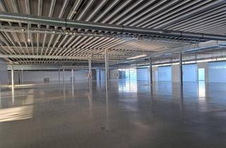 Gewerbeimmobilie kaufen in 4873 Frankenburg am Hausruck, Eigenständiges Betriebsobjekt - Produktionshalle und Büroflächen