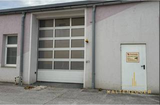 Gewerbeimmobilie mieten in 2620 Neunkirchen, Lagerhalle mit WC´s, Dusche und Küche