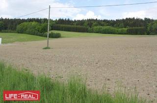 Grundstück zu kaufen in 4170 Sankt Oswald bei Haslach, sonniges Grünland mit Wald