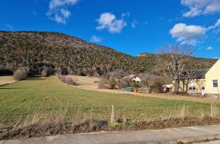 Grundstück zu kaufen in Winzerstraße 245, 2722 Winzendorf, Baugrundstück Winzendorf – 942 m² Bauland (TEILBAR) - provisionsfrei