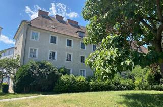 Wohnung mieten in Wachaustraße 12/4, 3500 Krems an der Donau, Wachaustraße 12/4