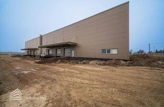 Gewerbeimmobilie mieten in 2482 Münchendorf, Lagerhalle im Industriegebiet Münchendorf – flexibel nutzbar