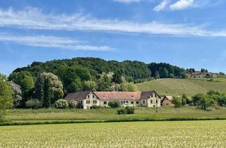 Villen zu kaufen in 8271 Bad Waltersdorf, Traumhaftes Anwesen in herrlicher Aussichtslage – Ehemaliger Meierhof von 1901 gelangt zum Verkauf!