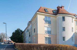 Wohnung mieten in Mühlgasse, 2500 Baden, Charmante 2-Zimmer-Wohnung mit Blick auf die Badener Trabrennbahn