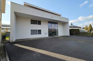 Wohnung mieten in 6971 Hard, 3-Zimmer-Gartenwohnung in Hard zu vermieten!