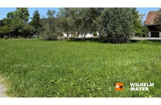 Grundstück zu kaufen in 6842 Koblach, GRUNDSTÜCK B (427 m²) KOBLACH-DIESENÄUELE