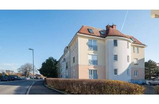 Wohnung mieten in 2500 Baden, Charmante 2-Zimmer-Wohnung mit Blick auf die Badener Trabrennbahn