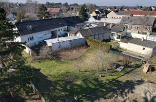 Grundstück zu kaufen in 2305 Eckartsau, NEUER Preis - Eckartsau - Baugrundstück in naturnaher Lage angrenzend am Nationalpark Donau-Auen