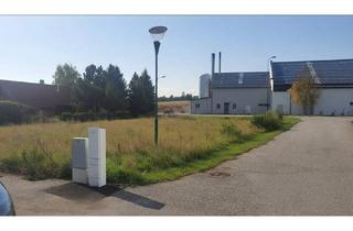 Grundstück zu kaufen in 2170 Poysdorf, Baugrund in 2161 Poysbrunn – 928m² Eigenheim-Traum zum Top-Preis von 120.000 €!