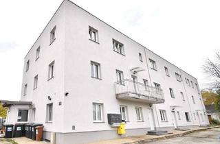 Wohnung kaufen in 4400 Steyr, Gepflegtes Mini-Apartment mit Badezimmer in zentraler Lage - Zimmer 11! Nähe BMW, SKF!!!