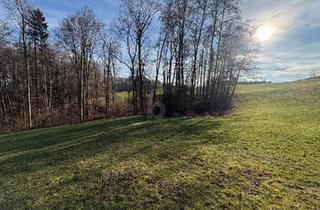 Grundstück zu kaufen in 4400 Steyr, WOHNEN AUF HÖCHSTEM NIVEAU - SÜDHANG IN RUHELAGE MIT ZENTRUMSNÄHE