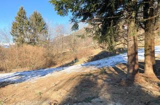 Grundstück zu kaufen in 9872 Matzelsdorf, BAUGRUNDSTÜCK IN ABSOLUTER RUHELAGE AM MILLSTÄTTER SONNENPLATEAU