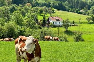 Einfamilienhaus kaufen in 9470 Granitztal-St. Paul, Platzwunder in St. Paul - Gepflegte Liegenschaft mit Charme