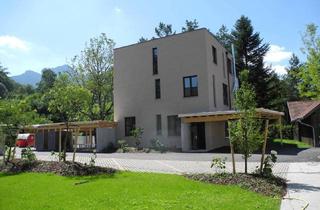 Immobilie kaufen in 4644 Scharnstein, Historischer, renovierter Keller mit eigenem Außeneingang und LIFT und HEIZUNG !