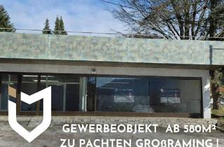 Geschäftslokal mieten in 4463 Großraming, GEWERBEOBJEKT AB 580M² ZU PACHTEN !