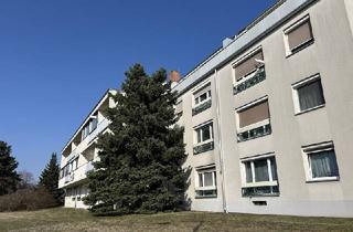 Wohnung kaufen in 1210 Wien, DACHGESCHOSS + 10m² TERRASSE + SONNIG + FERNBLICK bis zum Kahlenberg + nahe VETMED!