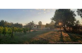 Gewerbeimmobilie kaufen in 7142 Illmitz, Großes arrondiertes Ackergrundstück ( fast 2ha ) in Illmitz, Burgenland