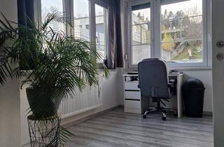 Einfamilienhaus kaufen in 7021 Draßburg, Privatverkauf- Modern saniertes Einfamilienhaus mit Fernblick über Schlossgarten