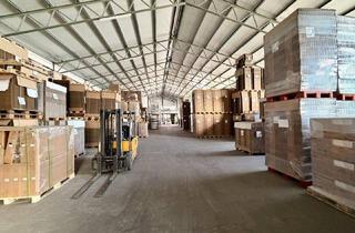 Gewerbeimmobilie mieten in 2431 Enzersdorf an der Fischa, Neue, günstige, große (1.267m2) Lager/Produktionshalle nähe Flughafen Schwechat zu vermieten!