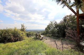Grundstück zu kaufen in Wittgensteinstraße, 1230 Wien, Eigengrund: Grünland mit Gartenhaus - Großes Grundstück in Mauer am Kadoltsberg - direkt am Lainzer Tiergarten