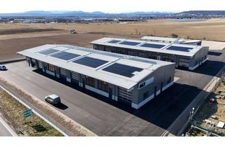 Gewerbeimmobilie mieten in Gewerbepark B17 / Ii / Straße 3 / Objekt 11, 2524 Teesdorf, Neubau Gewerbehalle Teesdorf B17 - 154 bis 399 m2 - Fussbodenheizung - sofort beziehbar