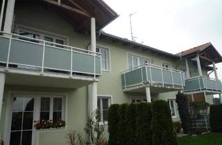 Wohnung mieten in Untertreubach 74, 5272 Untertreubach, Nette 2-Raum Mietwohnung in Treubach