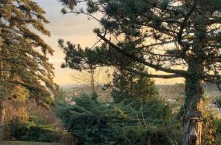 Grundstück zu kaufen in 2102 Hagenbrunn, Veiglberg! Traumhaftes Grundstück mit Bestandsgebäude! Natur, Ruhe und Potenzial in bester Lage! Top!
