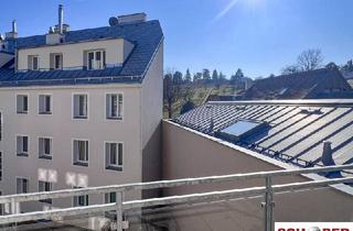 Wohnung kaufen in Sieveringer Straße, 1190 Wien, Renovierungsbedürftige 3 Zimmer mit Südbalkon