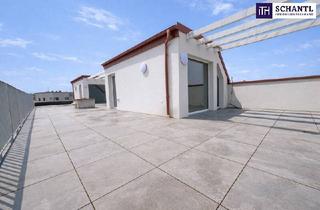 Maisonette kaufen in Doktor Karl Renner-Platz, 2514 Traiskirchen, Exklusives Dachgeschosswohnen: Helle 4-Zimmer-Maisonette mit Balkon, Dachterrasse und hochwertiger Ausstattung!