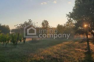 Grundstück zu kaufen in Apetloner Badesee, 7142 Illmitz, Großes arrondiertes Ackergrundstück ( fast 2ha ) in Illmitz, Burgenland