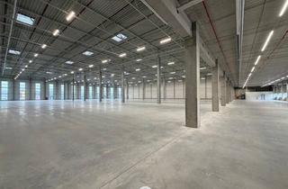 Lager mieten in 4470 Enns, NEUBAU - Produktions / Lagerhalle mit Büroflächen in Enns/Ennshafen zu vermieten - individuell und zukunftsorientiert