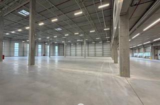 Lager mieten in 4470 Enns, NEUBAU - Produktions / Lagerhalle mit Büroflächen in Enns/Ennshafen zu vermieten - individuell und zukunftsorientiert