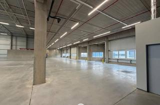 Lager mieten in 4470 Enns, NEUBAU - Produktions / Lagerhalle mit Büroflächen in Enns/Ennshafen zu vermieten - individuell und zukunftsorientiert