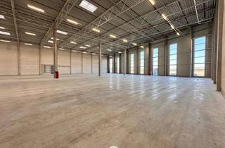 Lager mieten in 4470 Enns, NEUBAU - Produktions / Lagerhalle mit Büroflächen in Enns/Ennshafen zu vermieten - individuell und zukunftsorientiert
