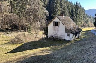 Haus kaufen in Friesach, 9361 Sankt Salvator, Einzigartige Liegenschaft mit 4397 m², Bach und Wiese für Naturliebhaber - abbruchreifes Haus