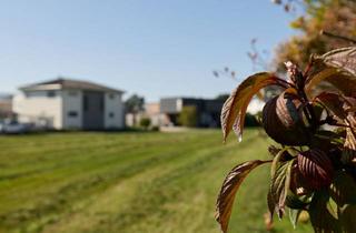 Grundstück zu kaufen in Im Acker, 6972 Fußach, 1.845 m² großes Grundstück in Fussach!