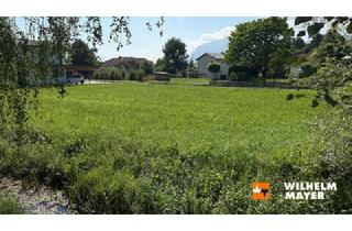 Grundstück zu kaufen in 6842 Koblach, GRUNDSTÜCK A (428 m²) KOBLACH-DIESENÄUELE