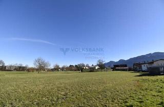 Grundstück zu kaufen in 6840 Götzis, First come, first serve!