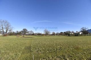 Grundstück zu kaufen in 6840 Götzis, Sonniger Baugrund in Randlage!