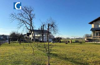 Grundstück zu kaufen in 6973 Höchst, Attraktives Baugrundstück in naturnaher Lage