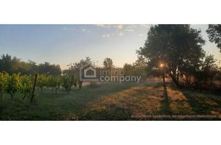 Gewerbeimmobilie kaufen in 7142 Illmitz, Großes arrondiertes Ackergrundstück ( fast 2ha ) in Illmitz, Burgenland