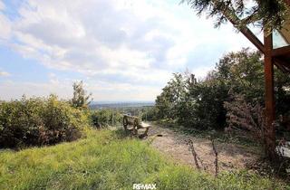 Grundstück zu kaufen in Wittgensteinstraße, 1230 Wien, Eigengrund: Grünland mit Gartenhaus - Großes Grundstück in Mauer am Kadoltsberg - direkt am Lainzer Tiergarten