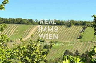 Maisonette mieten in 1190 Wien, Stilvolle Maisonette in Toplage – inklusive Garten und Weinbergblick