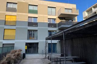 Wohnung mieten in Gisela-Legath-Gasse, 1220 Wien, Moderne 2 Zimmer-Wohnung in der Seestadt