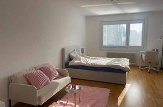 Wohnung mieten in 1130 Wien, WG taugliche 2-Zimmer Wohnung