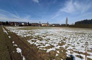 Grundstück zu kaufen in 8430 Leibnitz, Eben gelegenes Baugrundstück in ruhiger Wohnlage – Aufschließung teilweise durch Gemeinde