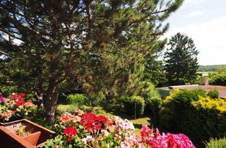 Einfamilienhaus kaufen in 2560 Berndorf, 150 m² Einfamilienhaus mit Pool, großem Grundstück & Ruhelage - Berndorf bei Baden