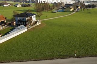 Grundstück zu kaufen in 4901 Ottnang, Baugrundstück in Ottnang am Hausruck ohne Bauzwang zu kaufen