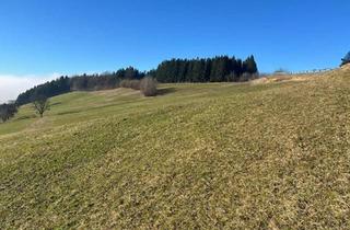 Gewerbeimmobilie kaufen in 3353 Seitenstetten, Landwirtschaftliche Fläche